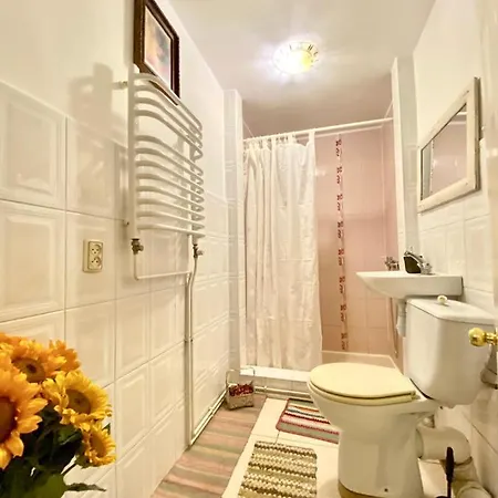 Магічні Гори Guest house